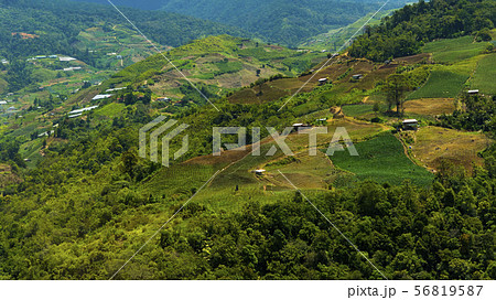 キナバル山の中腹にある村 ボルネオ島 キナバル山の中腹にある村 ボルネオ島 56819587