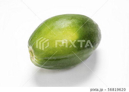 青パパイヤ 56819620