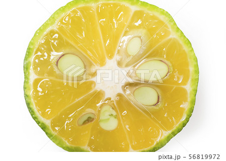 シークヮーサー シークヮーサー 56819972