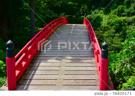 布橋　立山 56820171