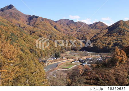 紅葉の中を走る小海線の車両(八ヶ岳高原ライン) 紅葉の中を走る小海線の車両(八ヶ岳高原ライン) 56820685