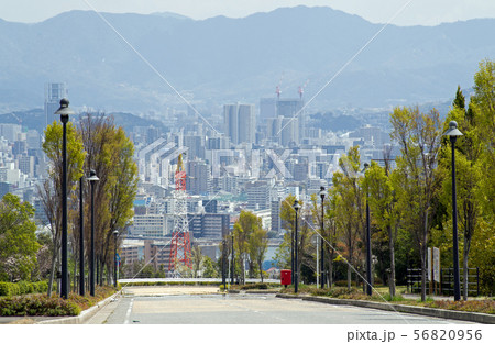 古田台から広島市内の眺め 古田台から広島市内の眺め 56820956