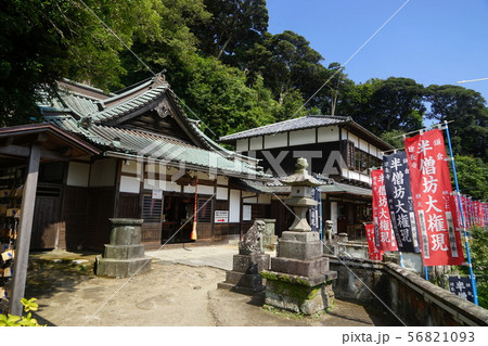 8月 鎌倉971半僧坊大権現神殿・建長寺 8月 鎌倉971半僧坊大権現神殿・建長寺 56821093