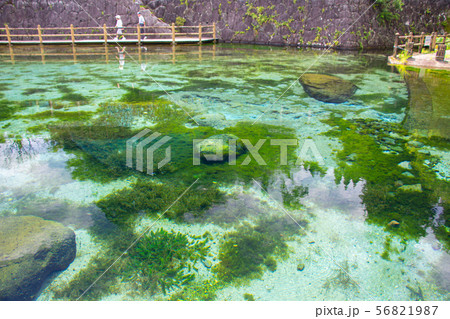 丸池湧水 丸池公園 丸池湧水 丸池公園 56821987