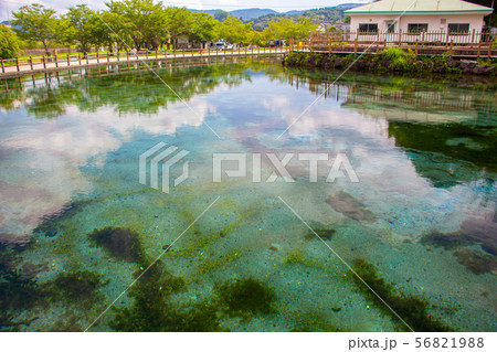 丸池湧水 丸池公園 丸池湧水 丸池公園 56821988