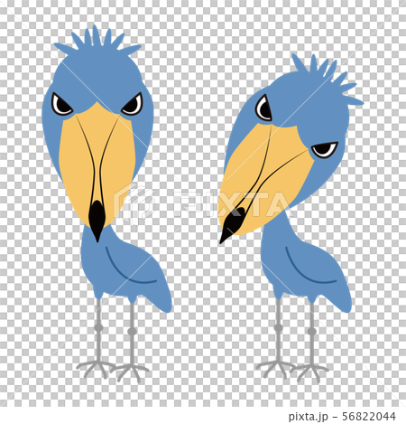 ハシビロコウ ベクター イラスト クリップアート 56822044