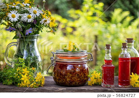 Bottles of red oil made from St. John's wort 56824727