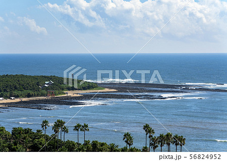 [宮崎県]青島海岸の風景 56824952