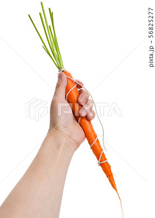 String and carrot 56825277