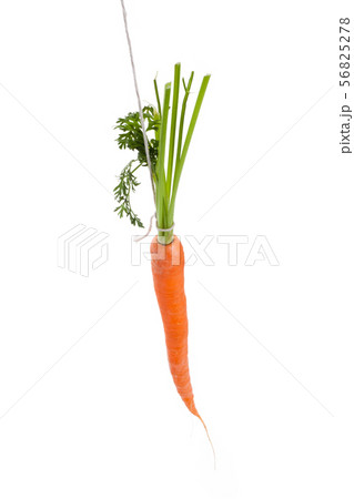 Dangling carrot Dangling carrot 56825278