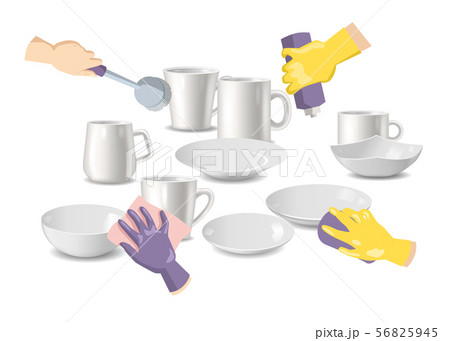 Cleaning service and household hygiene vector illustration. Hands in yellow gloves holding sponge 56825945