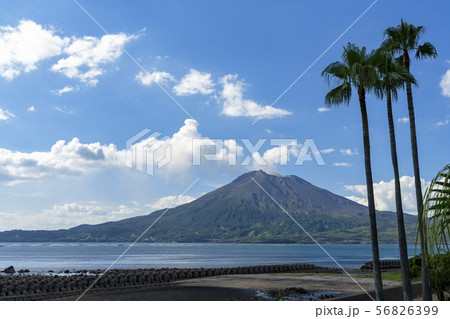 [鹿児島県]桜島の風景 56826399