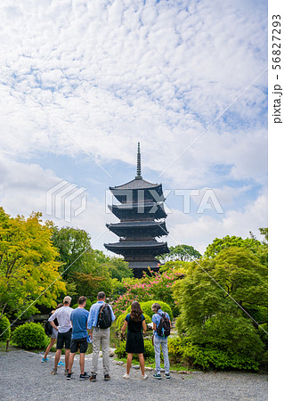 夏の東寺 五重塔と外国人観光客 京都の写真素材