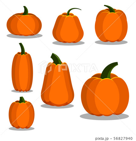 Cartoon flat style colorful pumpkin icons set. 56827940