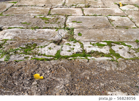 Background of old stone slabs Background of old stone slabs 56828056