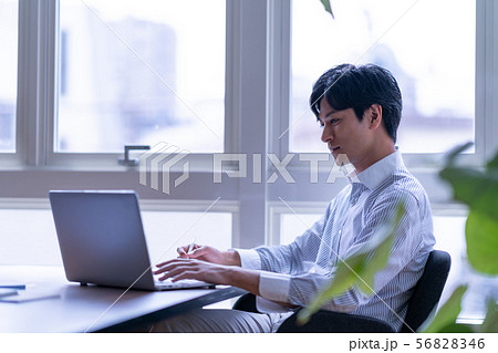 ビジネス 男性 昼 男 室内 屋内 仕事 カジュアル 一人 1人 1人 植物 パソコン ビジネス 男性 昼 男 室内 屋内 仕事 カジュアル 一人 1人 1人 植物 パソコン 56828346