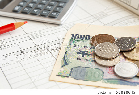 家計 家計簿 収支 記録 帳簿 可処分所得 家計 家計簿 収支 記録 帳簿 可処分所得 56828645