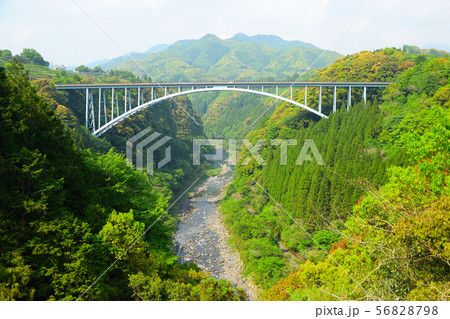 天翔大橋 天翔大橋 56828798