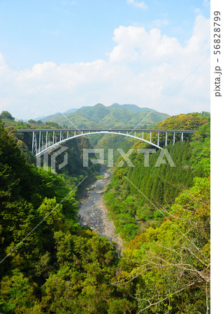 天翔大橋 天翔大橋 56828799