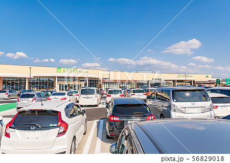 リニューアル　蓮田サービスエリア　駐車場 56829018