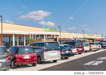 リニューアル　蓮田サービスエリア　駐車場 56829020