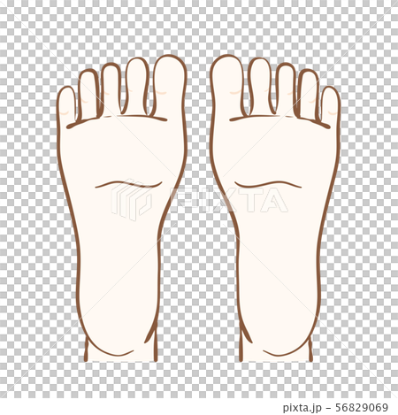 腳底的例證 56829069