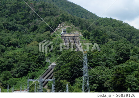 読書発電所 56829126