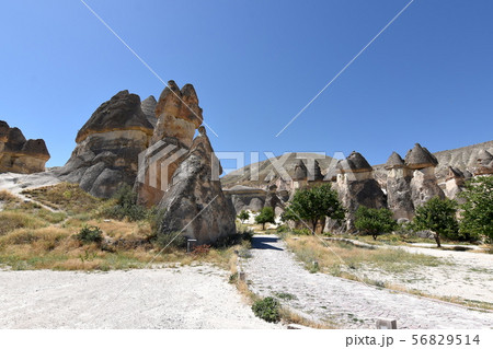 カッパドキア・パシャバー 56829514