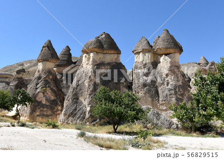 カッパドキア・パシャバー 56829515
