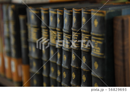 書籍 本 古書 洋書 書籍 本 古書 洋書 56829693