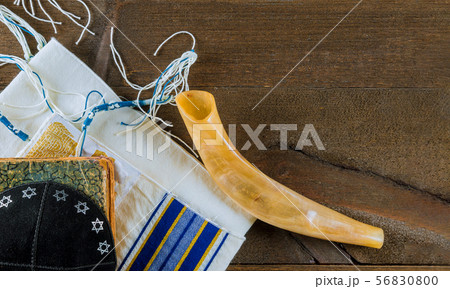 Orthodox Jewish prays at the praying book in Orthodox Jewish prays at the praying book in 56830800