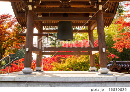 埼玉飯能の秋 紅葉の能仁寺 鐘楼 埼玉飯能の秋 紅葉の能仁寺 鐘楼 56830826