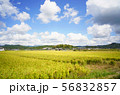 故郷の風景 56832857