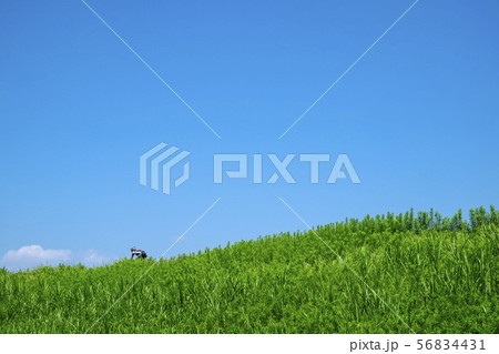 土手と青空とサイクリスト 56834431