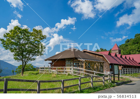 但馬牧場公園 56834513