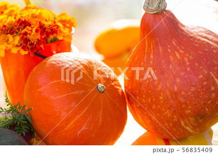 Pumpkin 56835409