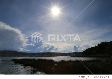 トトラ チチカカ湖 トトラ チチカカ湖 56835523