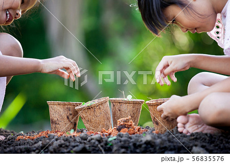 Two asian child girls planting young seedlings 56835576