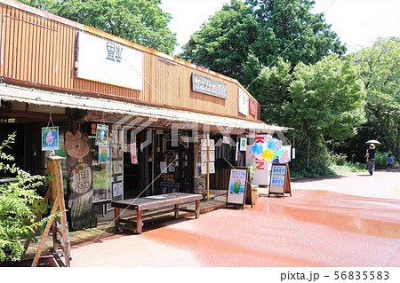 鏡山展望台 56835583