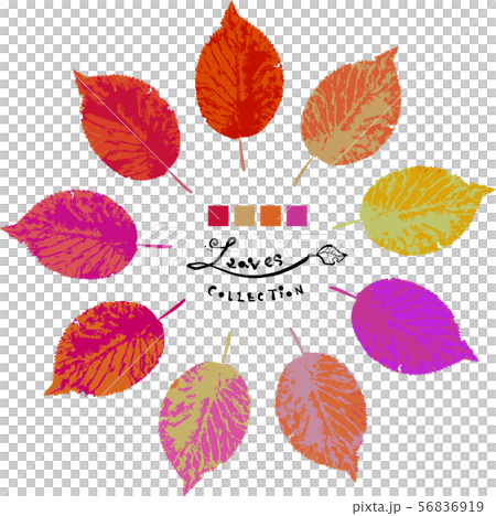 Leaf set red to purple 56836919
