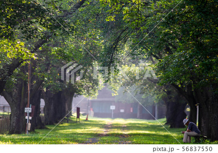 牧場 牧場 56837550