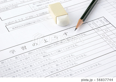 小学生の通知表サンプル 56837744