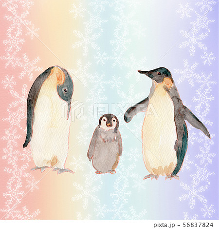 ペンギンの親子 水彩のイラスト素材 5674