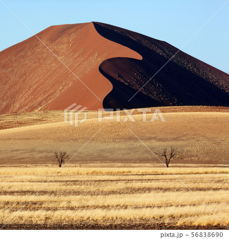 Sand Dune at Sossusvlei - Namib Desert - Namibia 56838690