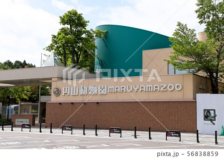 札幌観光地 動物園 入口 円山動物園 円山動物園正門 観光地 札幌観光地 動物園 入口 円山動物園 円山動物園正門 観光地 56838859