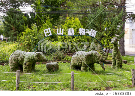 円山動物園　札幌観光地　緑　造形物　動物園 56838883