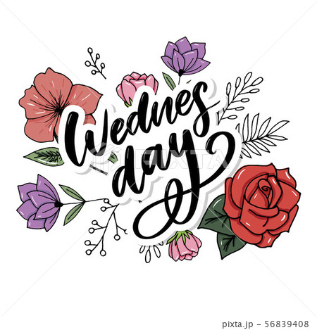 Wednesday words. Quote design. Hand drawn ink Wednesday words. Quote design. Hand drawn ink 56839408