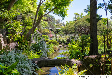 柴又帝釈天 邃渓園 56840813