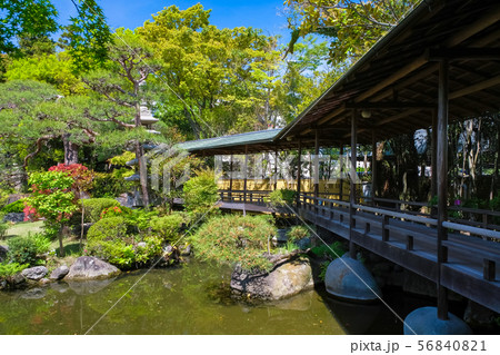 柴又帝釈天 邃渓園 56840821