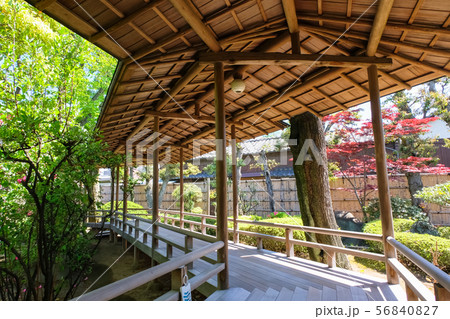 柴又帝釈天 邃渓園 廊下 柴又帝釈天 邃渓園 廊下 56840827